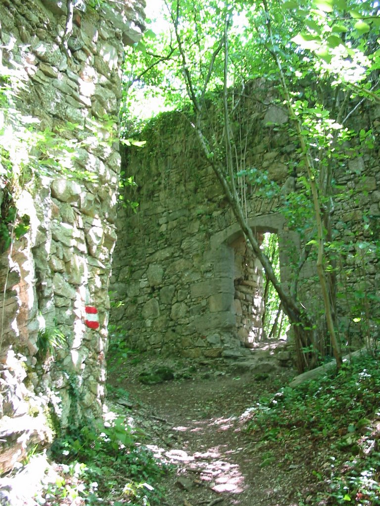 Mauerreste der Ruine Freyenstein mit Tür by Merowinger31