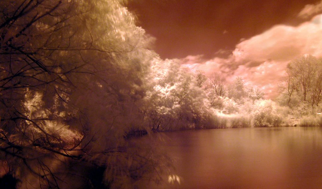 Lake, Vill. Chabanka, Odessa oblast, UA by Sergei Leshchinsky