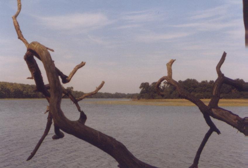 Hamble Country Park by DKearl