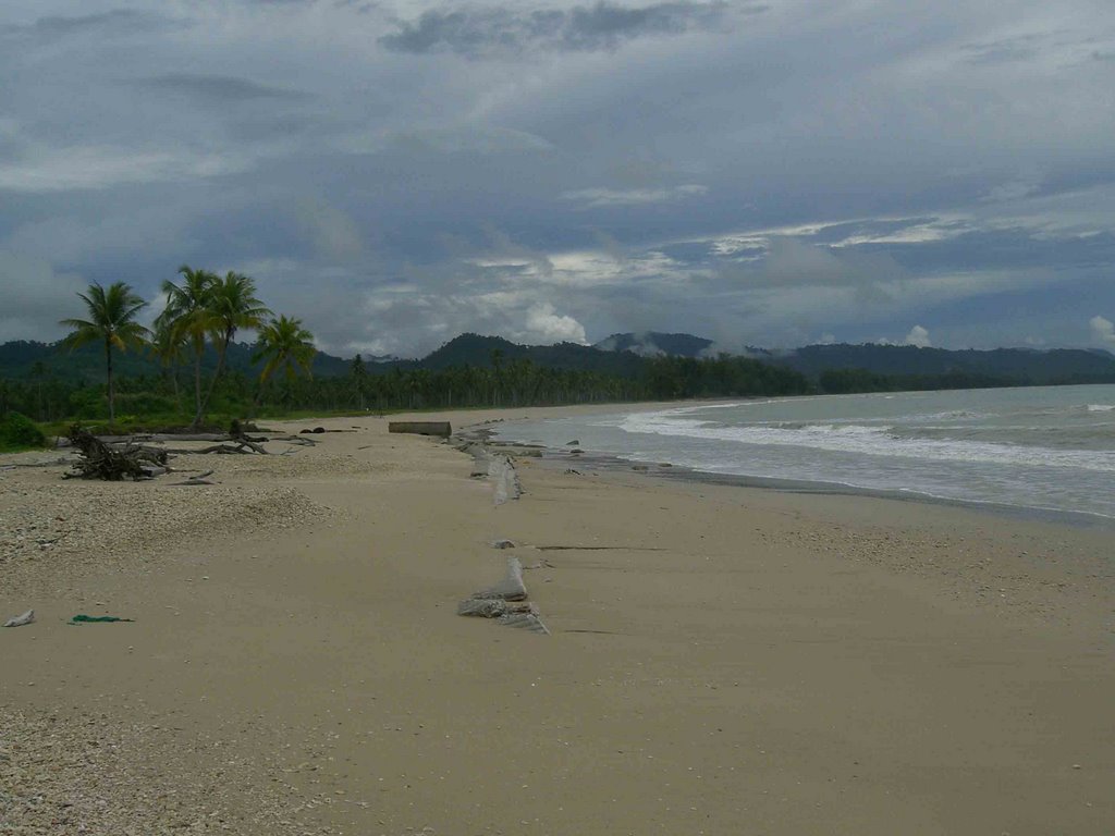 Beach At The Bang Sak Beach Resort by koen schenke