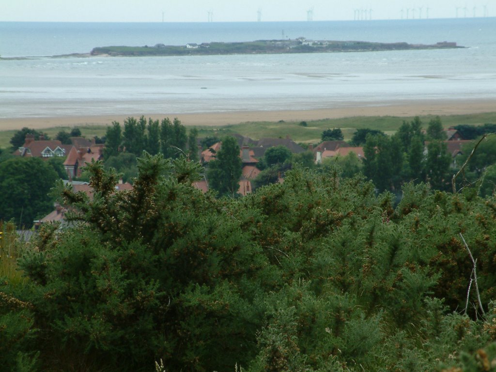 View From Cenotaph by Peter Hodge