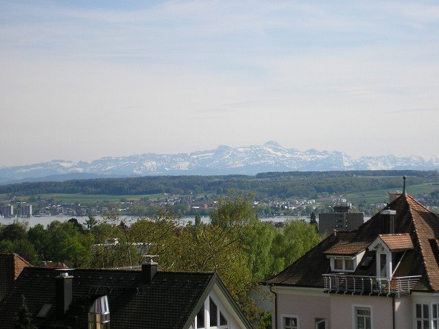 Alpenblick mit Säntis by olaste