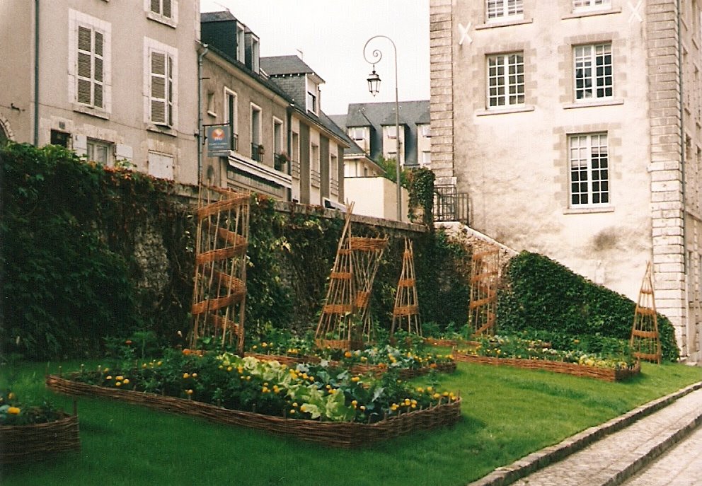 Le petit jardin, Cathédrale de Blois, France by MAPP HUDRANS