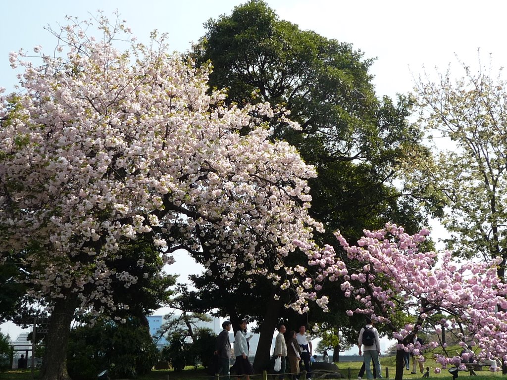 1 Hamarikyūteien, Chūō-ku, Tōkyō-to 104-0046, Japan by ongkm