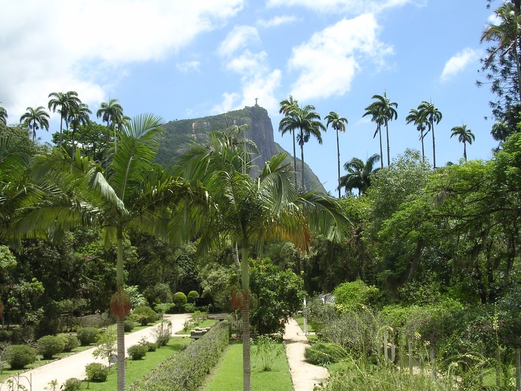 Jardim Botanico Vista Corcovado 2 by renbas