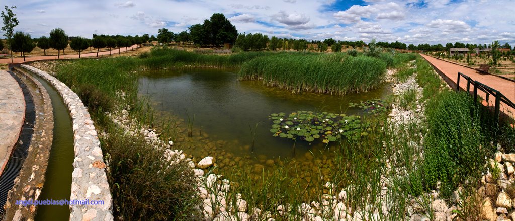 Laguna del Jardín Botánico de la Universidad de Alcalá by Angel Pueblas de la …