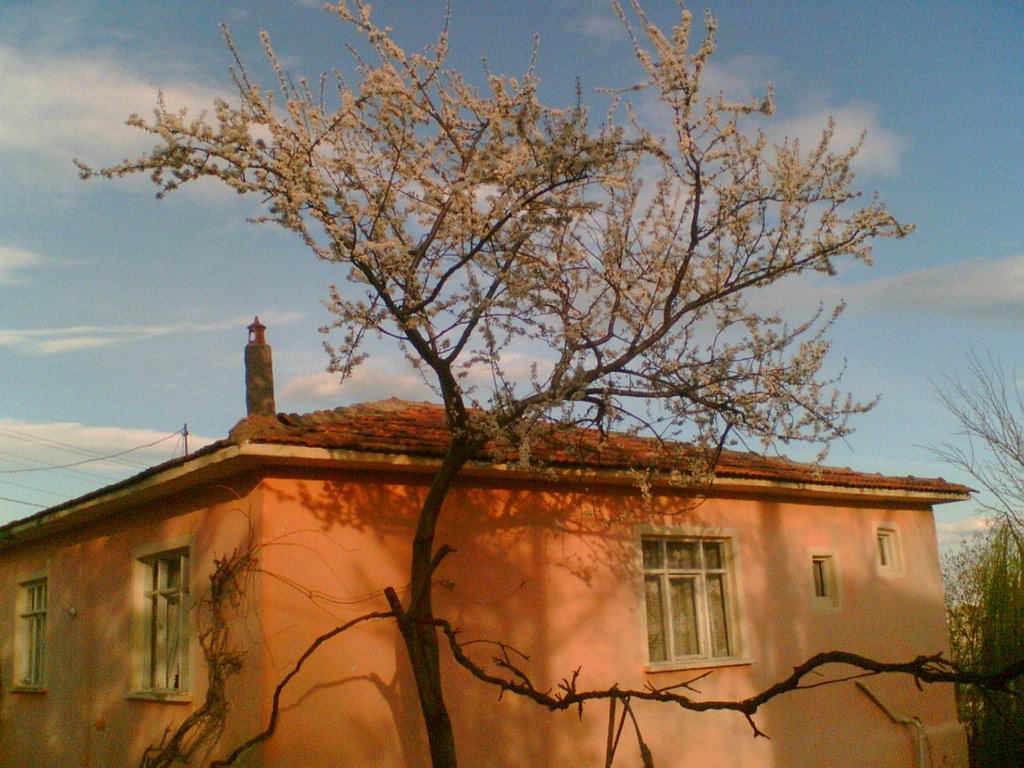 Tepecik, 55090 İlkadım/Samsun, Turkey by ufuk   aralan.