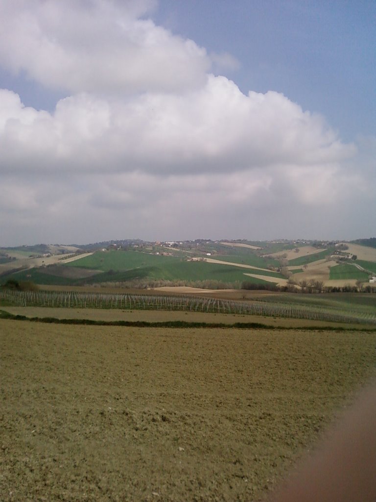 Campagna marchigiana by gilbolivi