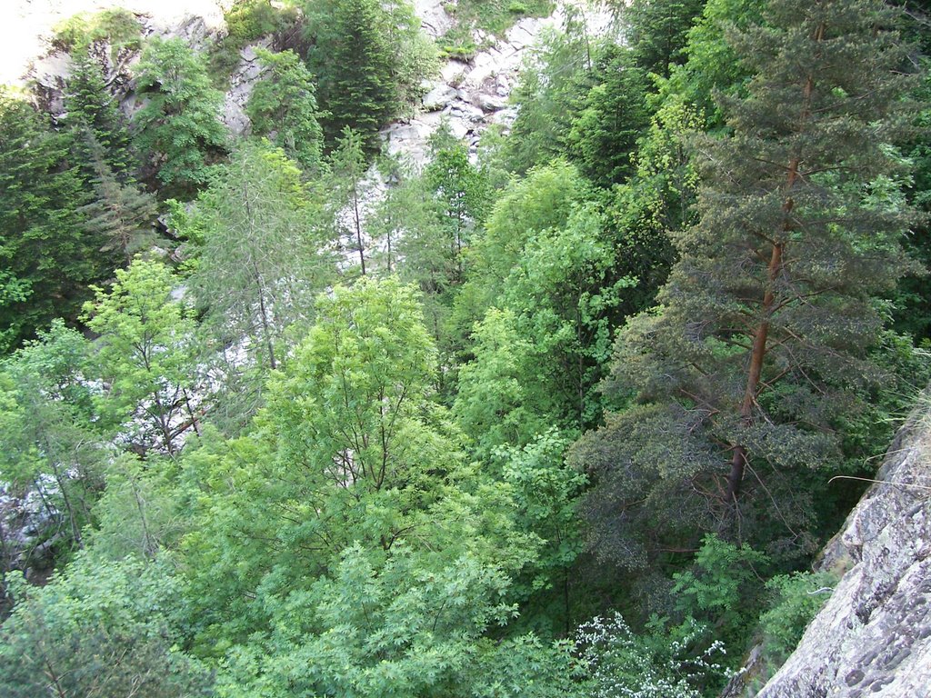 Via Ferrata Nicola Ciardelli Vallone del Bourcet - Roreto Chisone by salvatore53