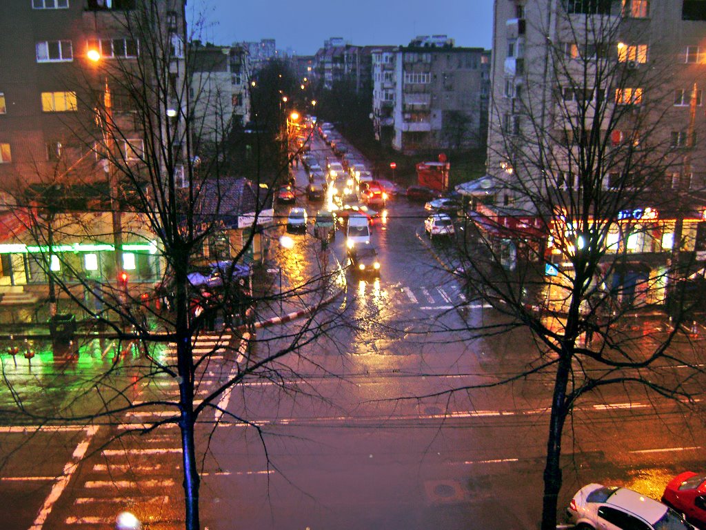 View from my window after rain by Mitu Laurentiu