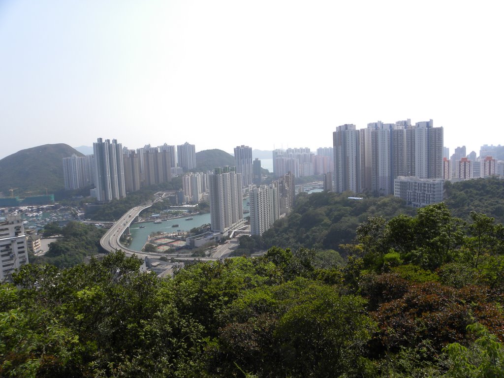 Aberdeen, Hong Kong by Andrew Chan