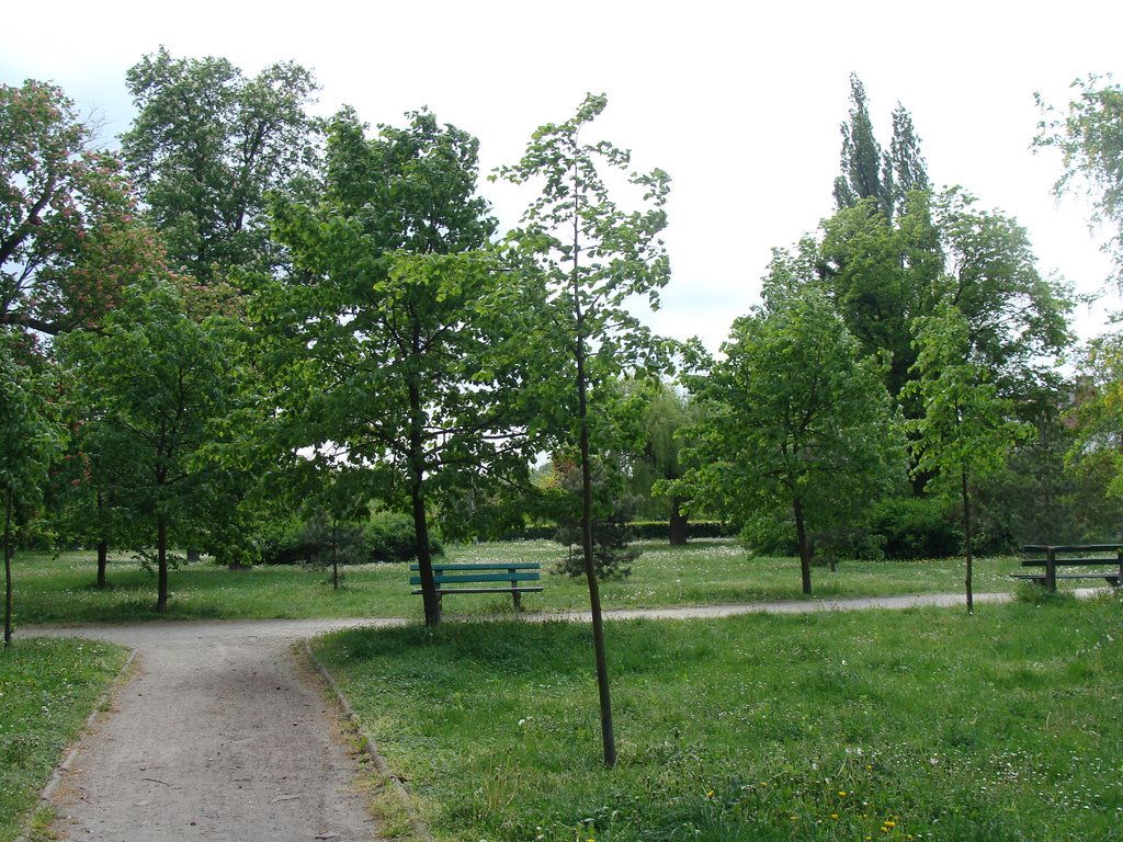 Park Marii Dąbrowskiej by KRUKOWATY