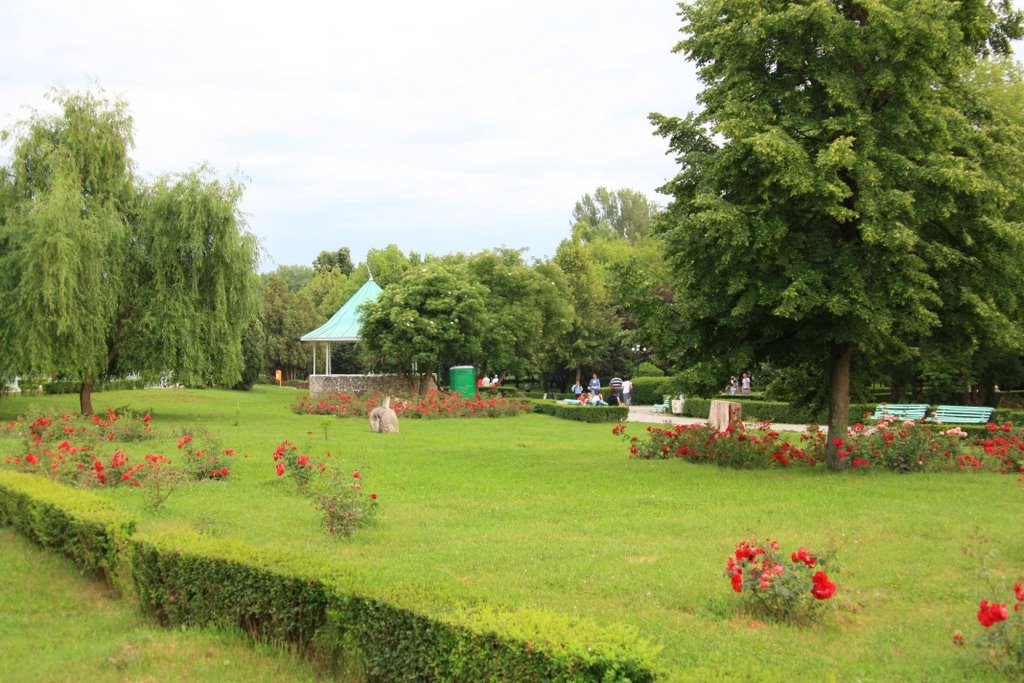 Parcul Chindia by salisteanu