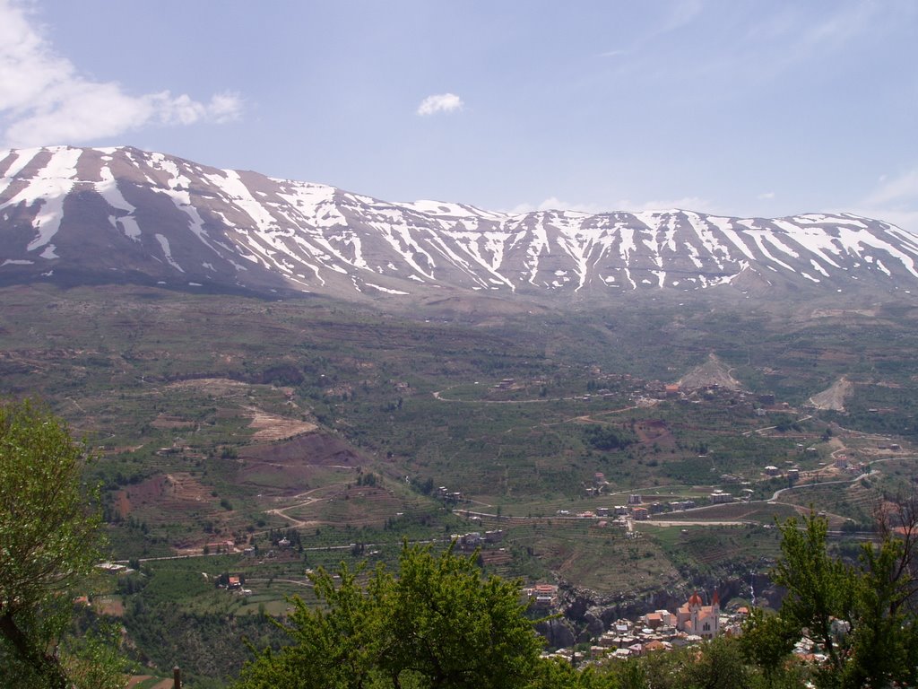 Mount Lebanon by plew