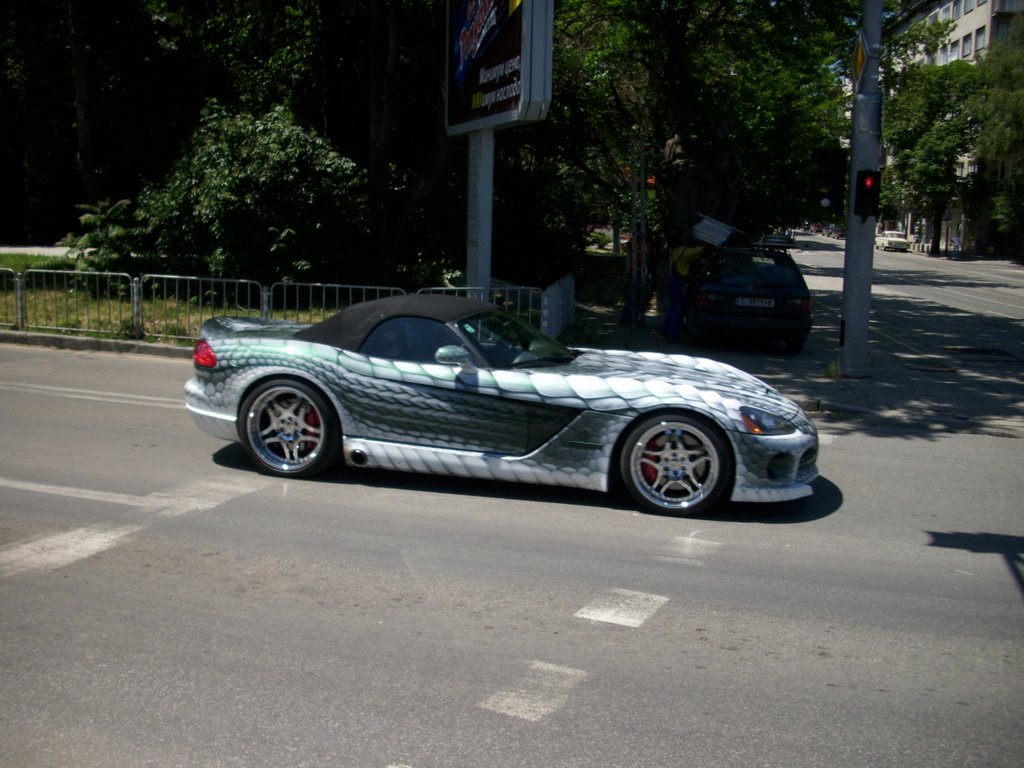 Snake Tunning by rt105