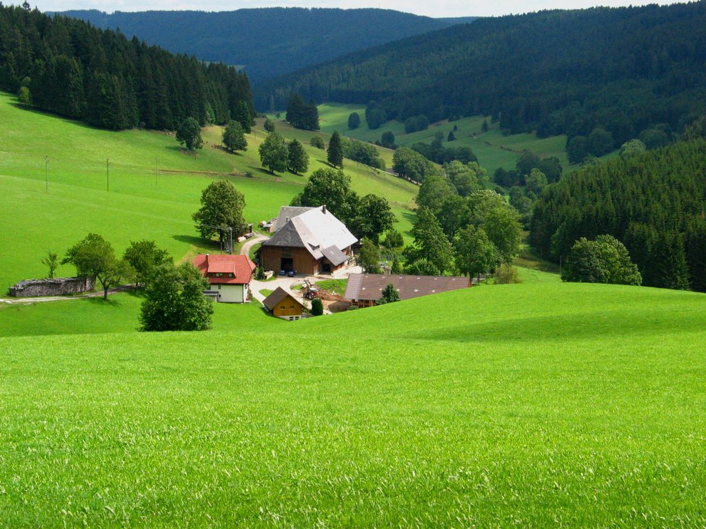 Hochschwarzwald Benediktenhof Schildwende AL by AxLange