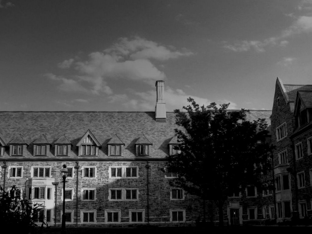 Whitman College by dalgacik