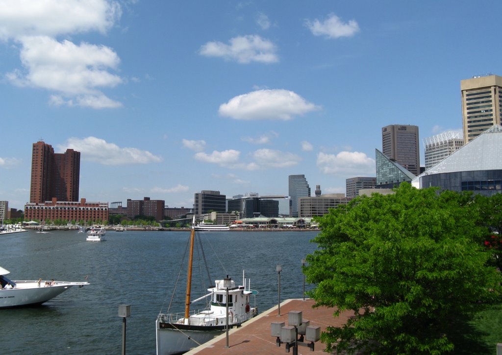 The Harbor from the lighthouse by greenturtle116