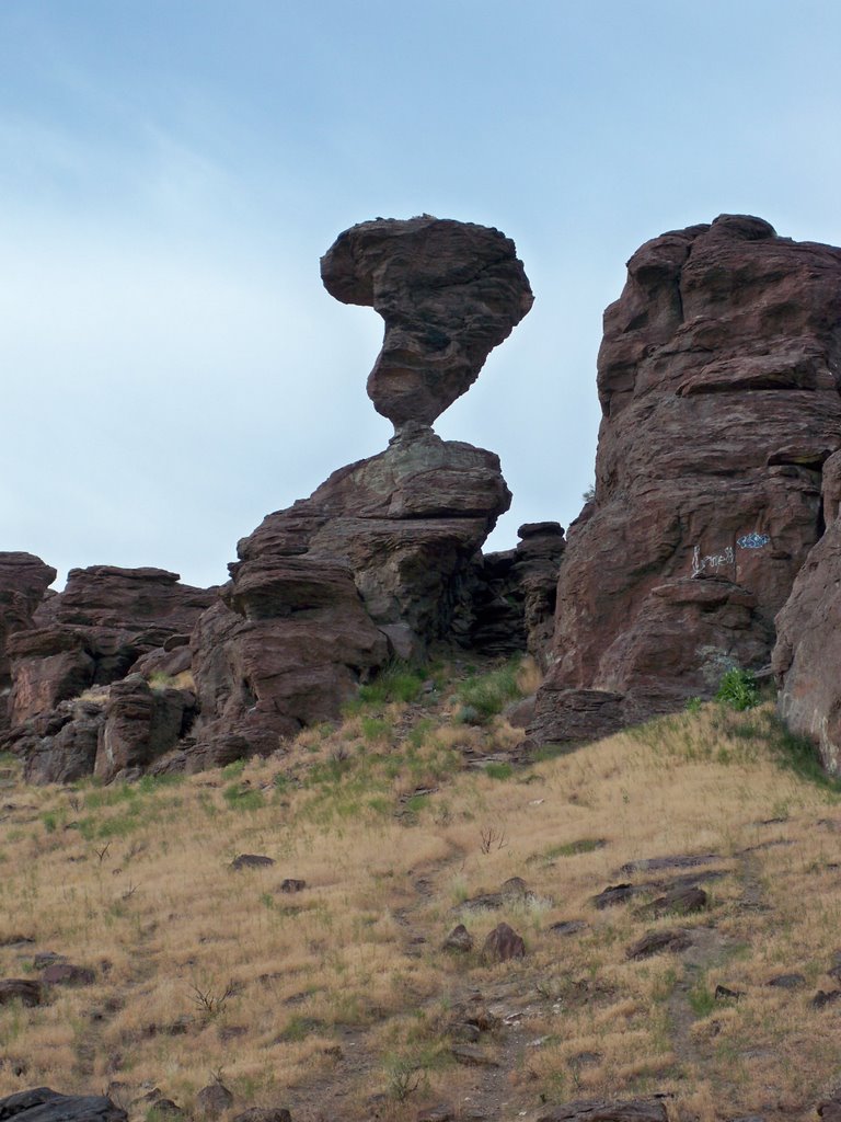 Balancing Rock, Idaho by Pamela Jones