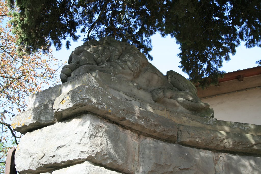 Castello di Cafaggio Gate by Michael Stettner