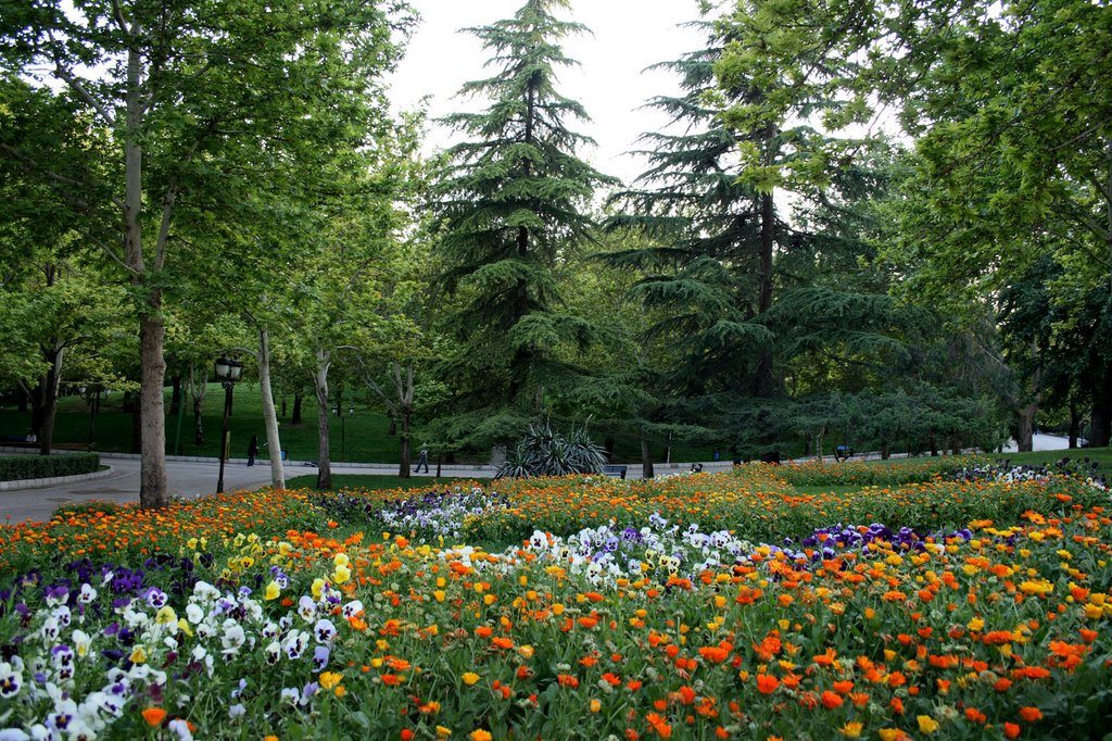 Mellat park, Tehran, Iran, Spring 2009 by Amir H. Mahmoodi