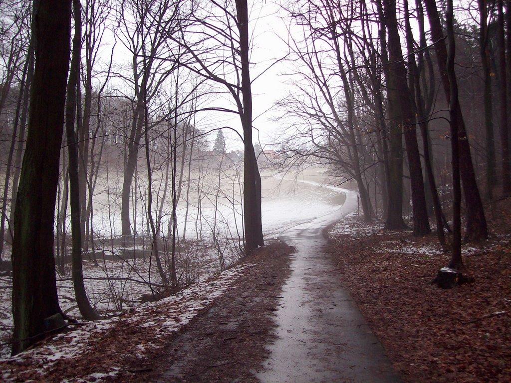 Radweg von Ruppersdorf in Richtung Herrnhut by vom berg