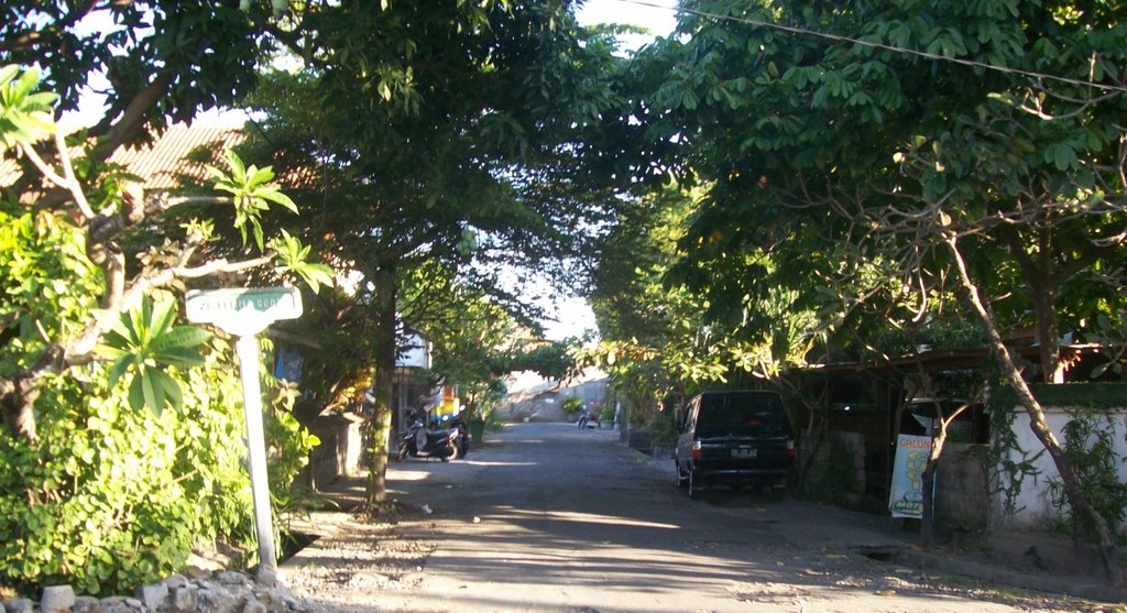 Jalan Sersan Mayor Gede Denpasar Bali by sapteka