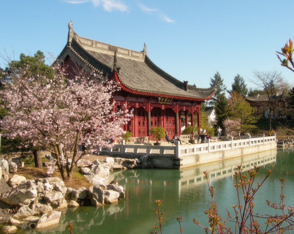 Chinese Garden by Jackie Rueda