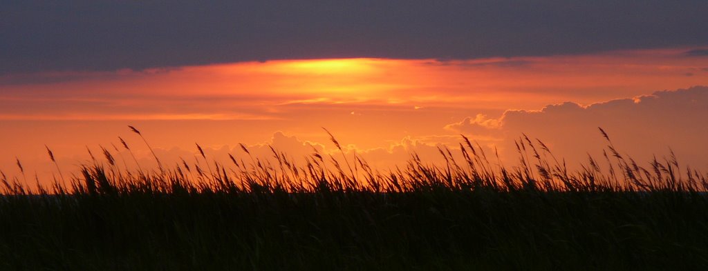 Sonnenuntergang hinter dem Deich am Sahlenburger Nordseestrand by M.Böcherer