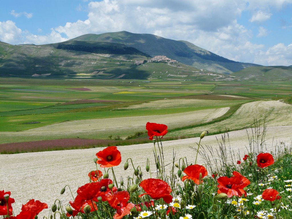 Castelluccio: un angolo di paradiso by laura.giovanardi