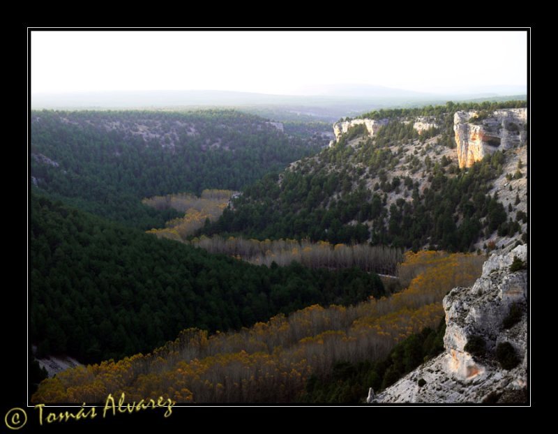 Mirador del cañon del río Lobos by Tomás Alvarez