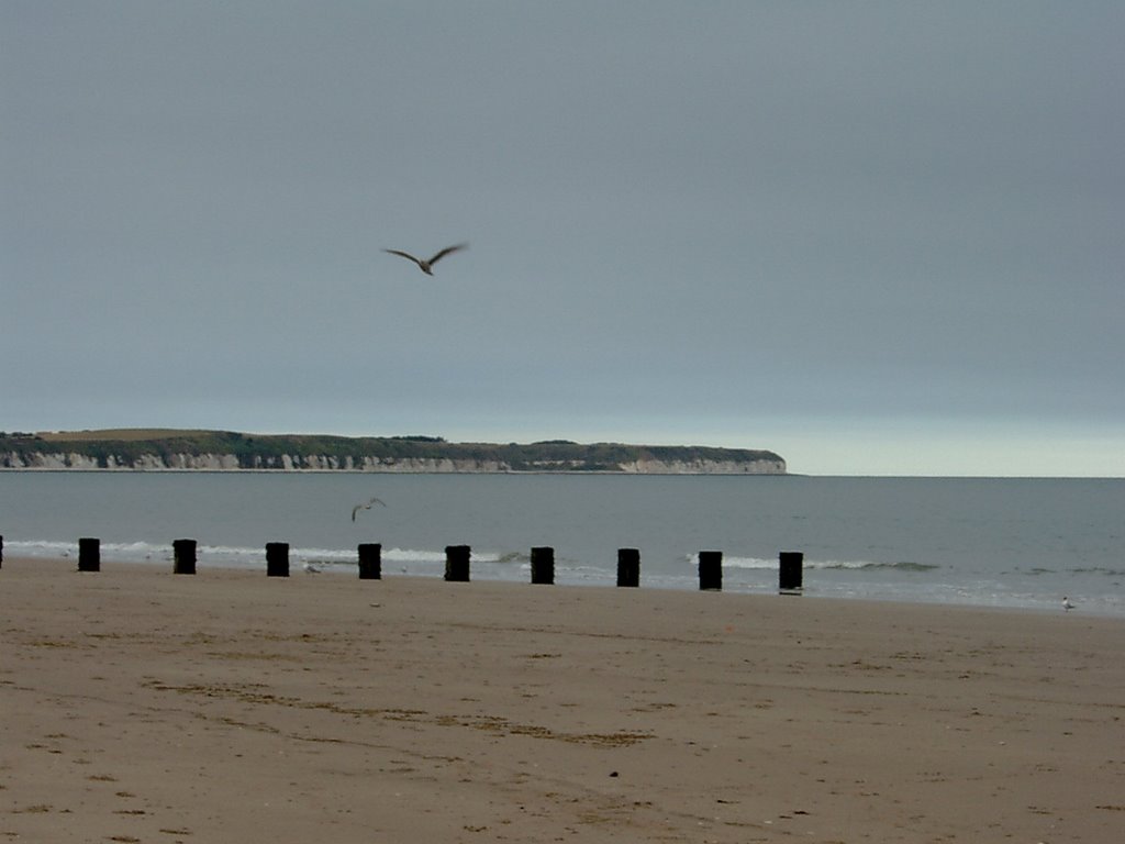 Bridlington, UK by Andy Beattie Photogr…