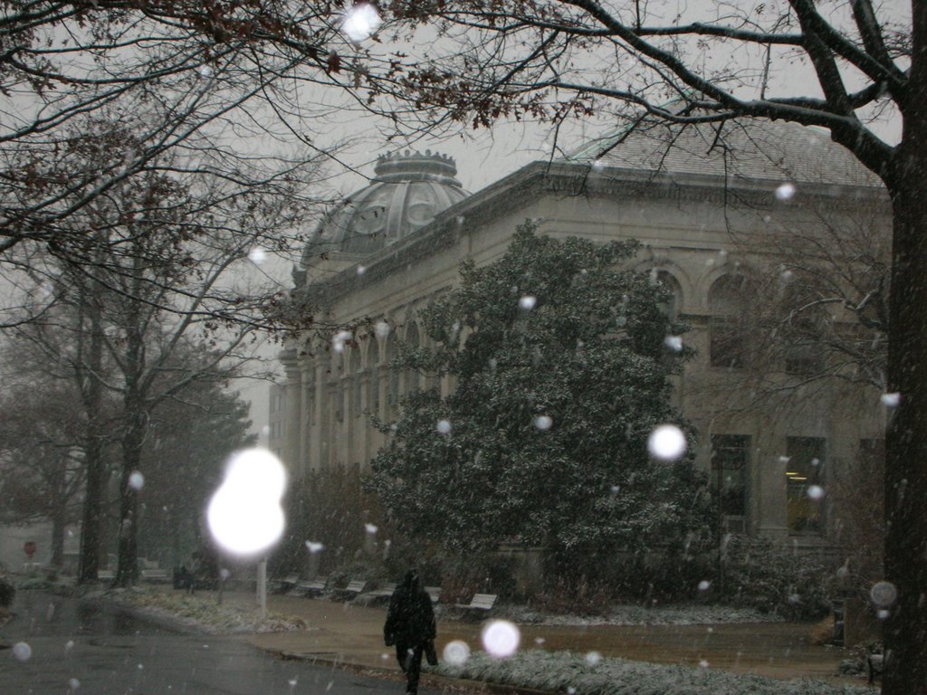 McKinley, American University by Jeffrey.Hanley