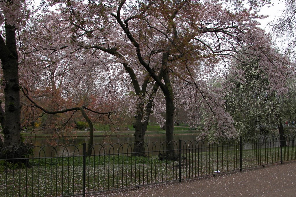 London, UK by Claude Beauchamp