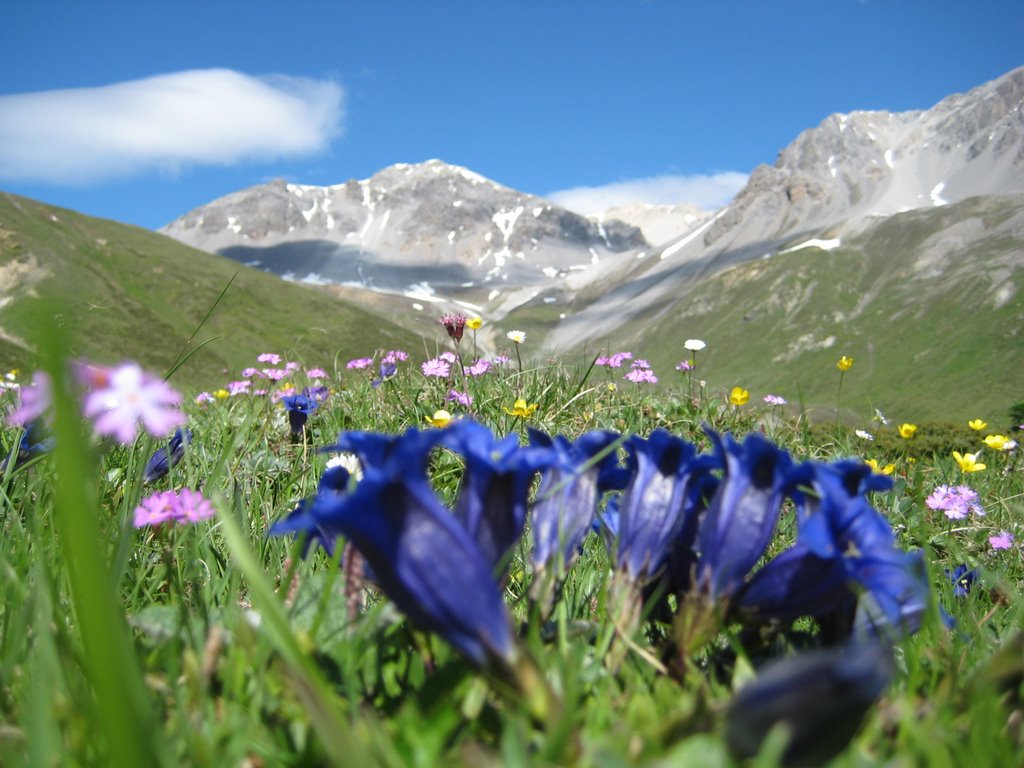 Auf dem Weg zum Ofenpass by Hubsi W