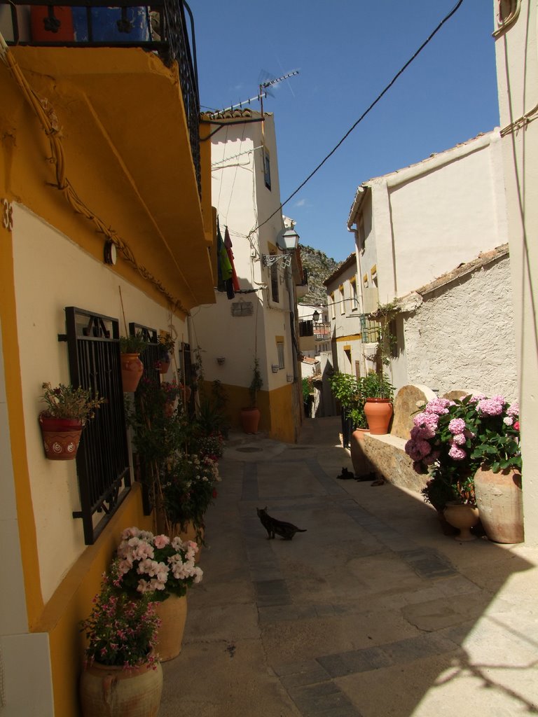 Calle Alta, con macetas (Cortes de Pallás) by Nacho Lambíes