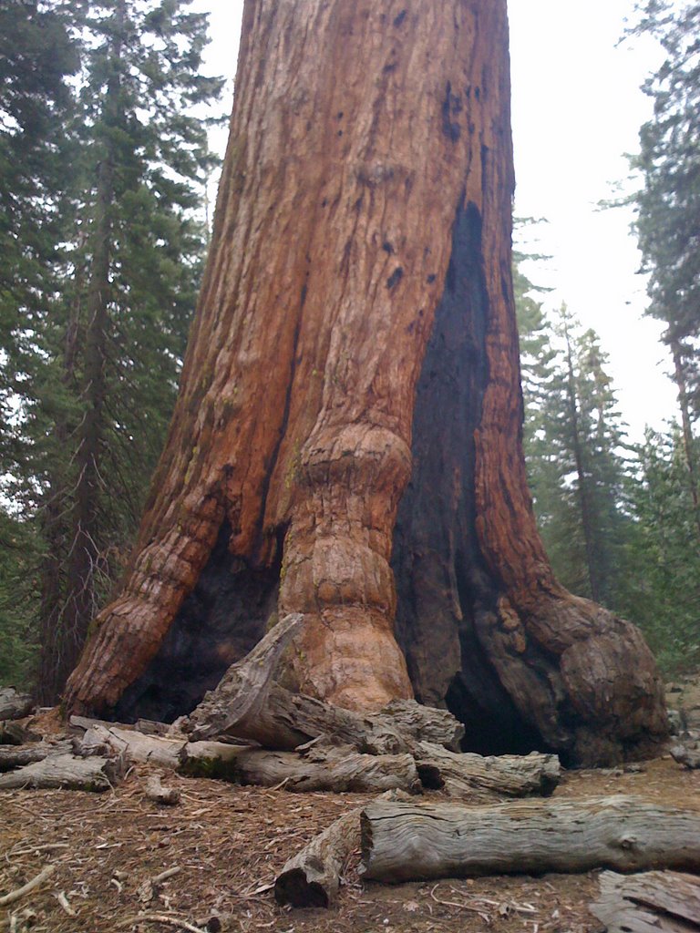 Yosemite Park by alexkr00