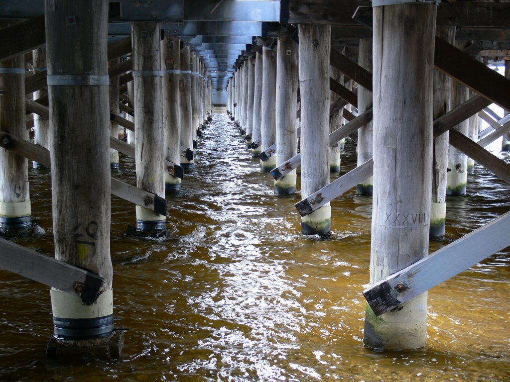 Under the Canning Bridge by cindy555