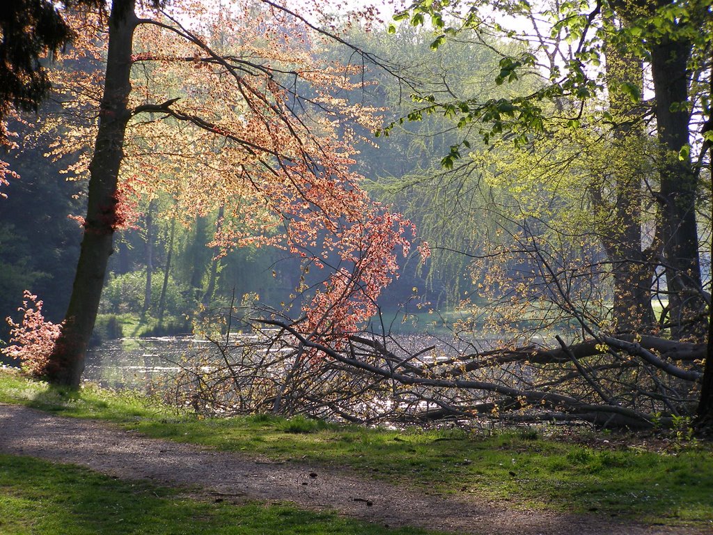 Stadspark Ramswoerte by Robert Kuiper