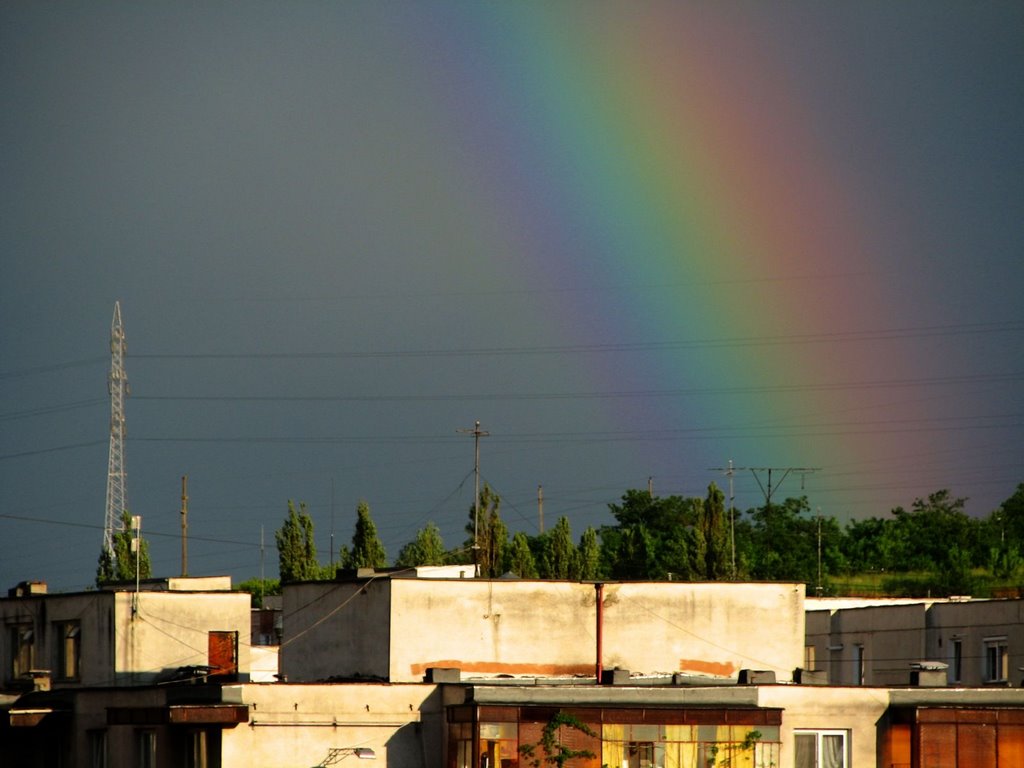 RAINBOW by Dénes László