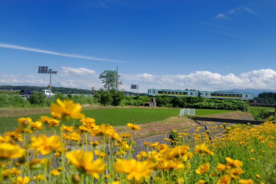 散歩004 陸羽西線 West Rikuu Line (Shinjyo－Masugata) by rainbowmaker