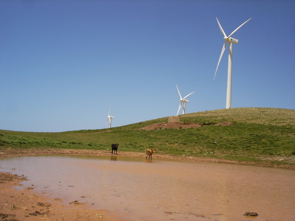 Wind-power park. ΑΙΟΛΙΚΟ ΠΑΡΚΟ ΠΑΤΡΑΣ by ΧΡΗΣΤΟΣ ΠΑΝΑΓΙΩΤΟΥ