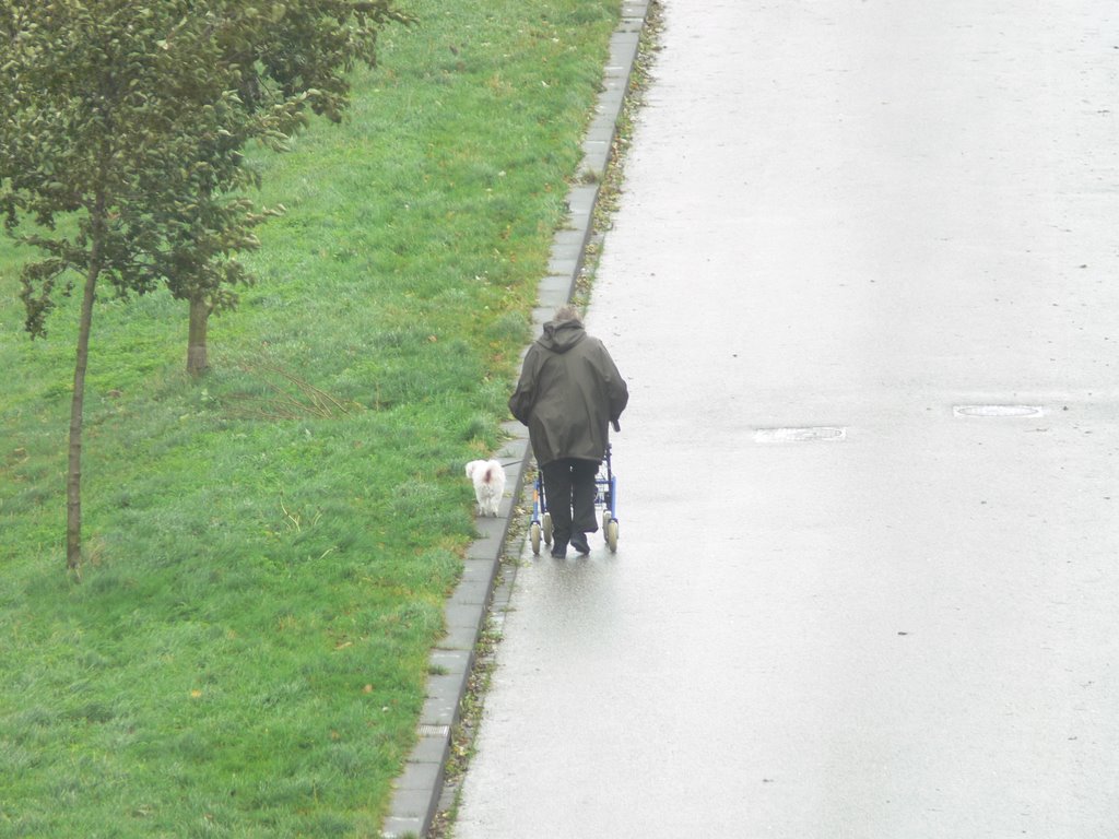 Hond trekt rolator en bejaarde by grijfland