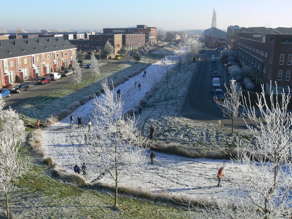 IJspret winter 2007 (Fonteinkruid) Stadshagen Zwolle by grijfland