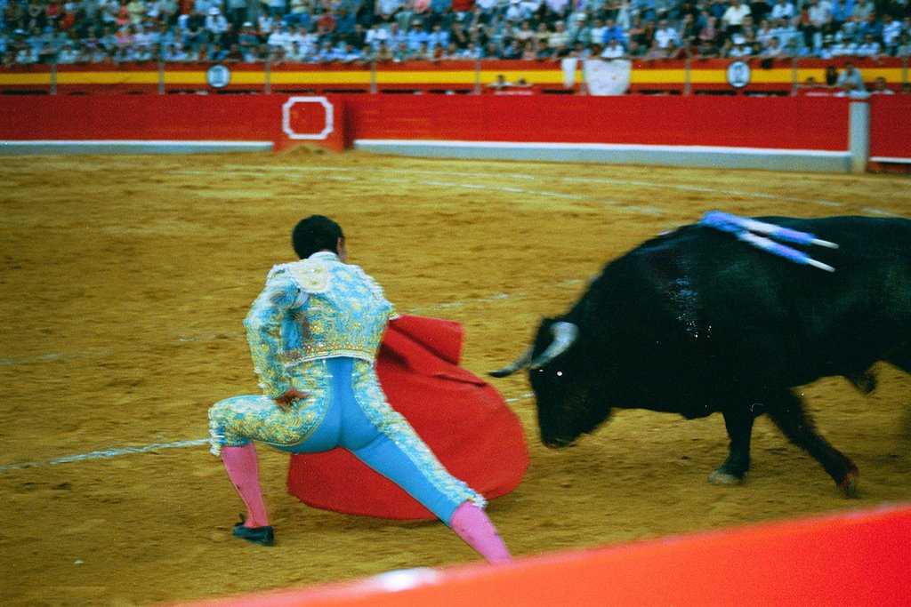 Toros El Fandi by Axarco