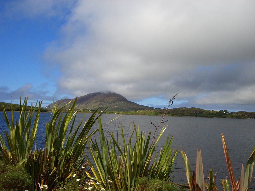 Inlet at Letterfrack, Co. Galway by Mat Nichol