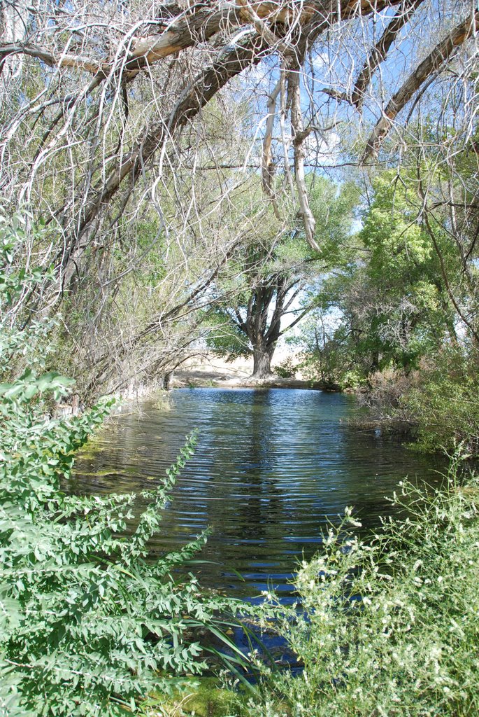 Oasis at Lucin, Utah Site by geoffff