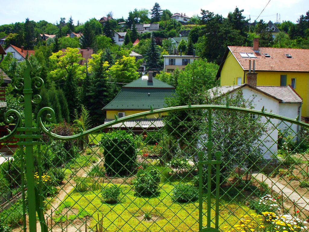 Budapest,II.kerület,Máriaremetei út 53-tól déli panoráma,2009 június 17-én by Vastalicska