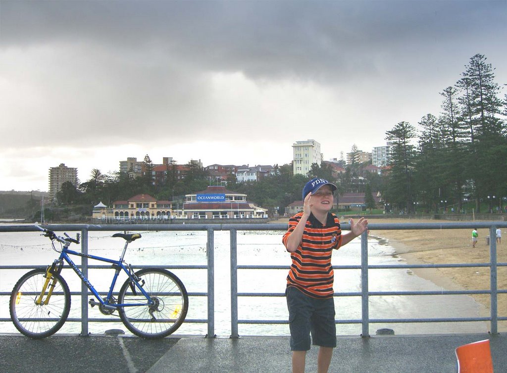 Manly Cove in the Rain by nealx