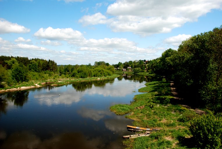 Narew by Mariusz Wachnik